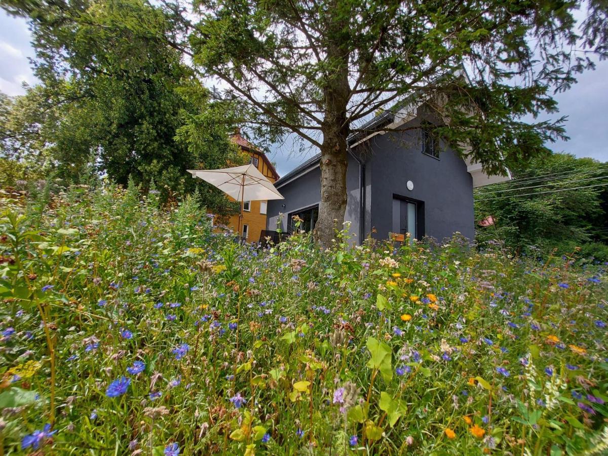Bryziowka B Villa Milkow  Exterior photo