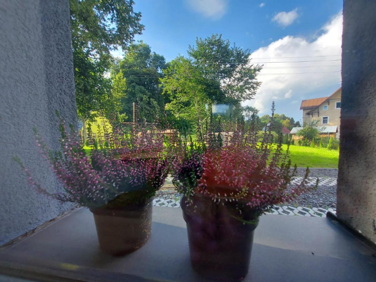 Bryziowka B Villa Milkow  Exterior photo